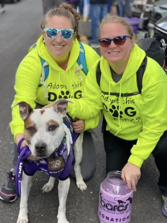 Two people with a dog at an adoption event