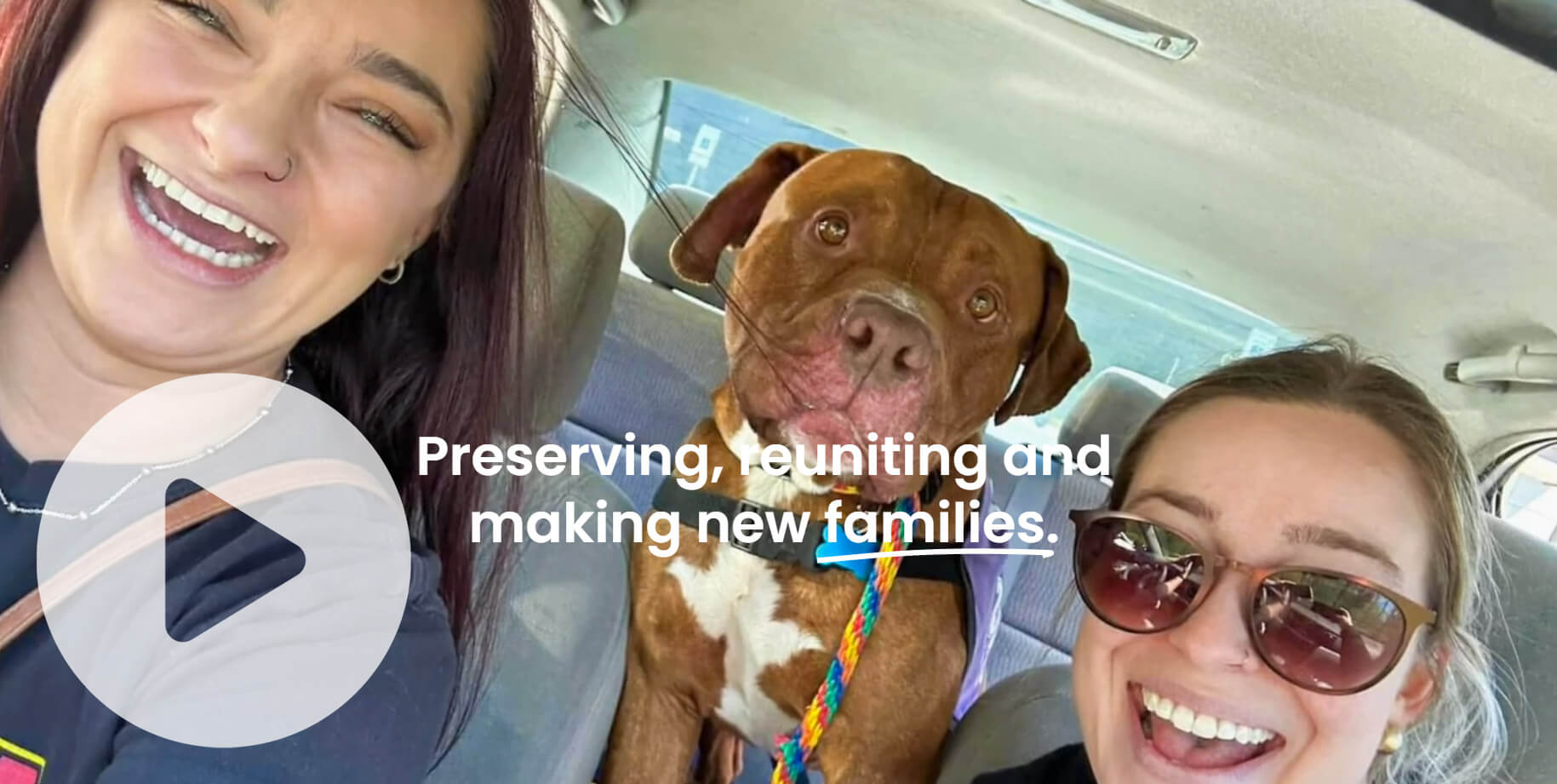 BARCS promotional video thumbnail - Click to play